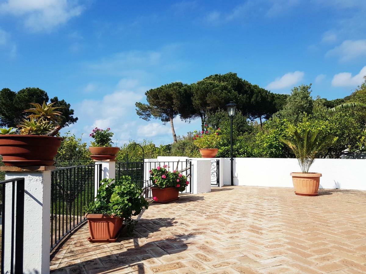 Villa Del Sogno Parghelia Exterior photo